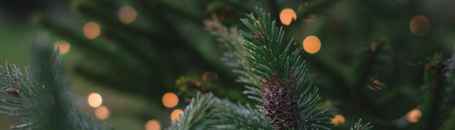 unsplash_christmas1